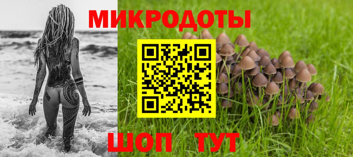 Галлюциногенные грибы GOLDEN TEACHER Кировск